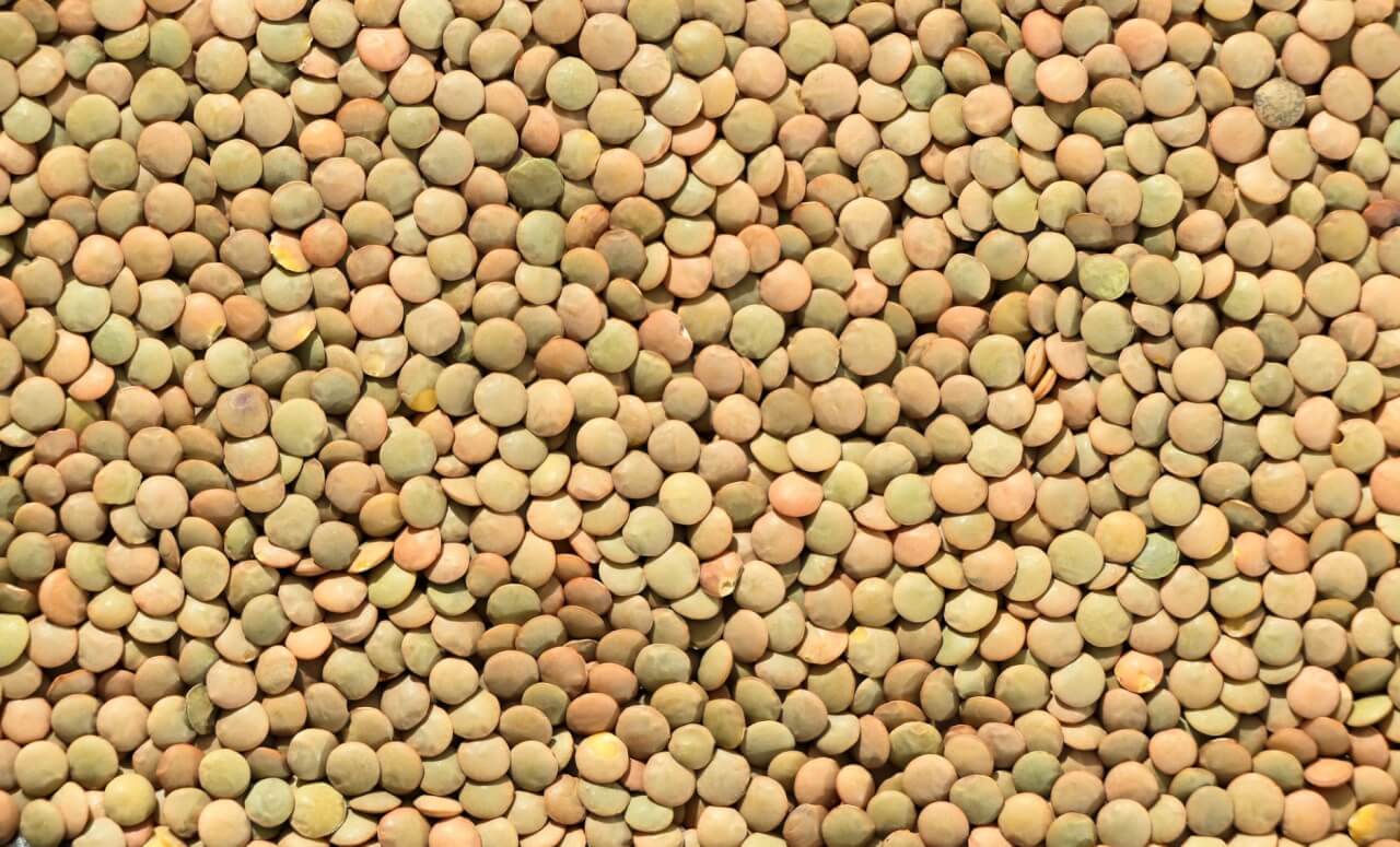 Pourquoi l'index glycémique des lentilles les distingue des autres féculents