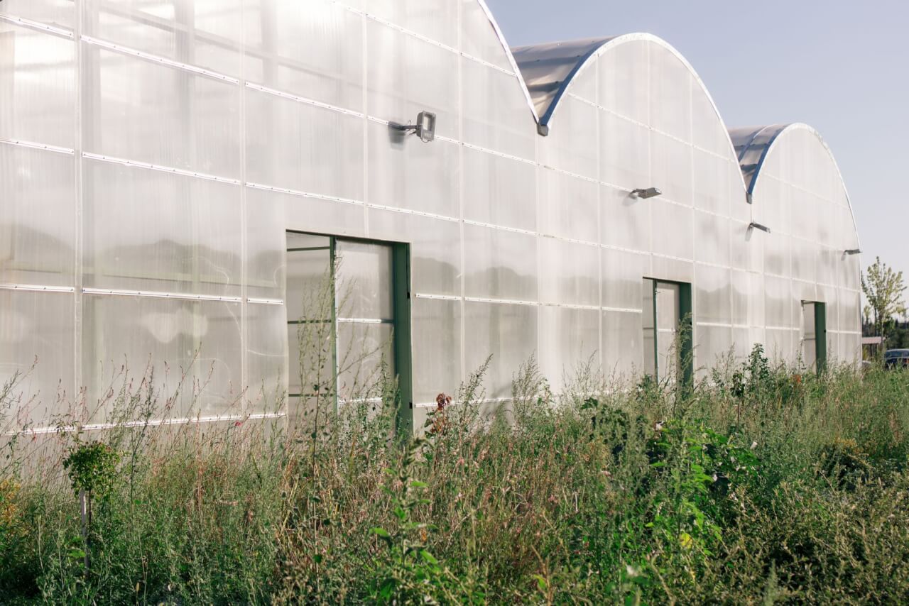 Serre Polycarbonate : Le Choix Qui Change Tout au Jardin