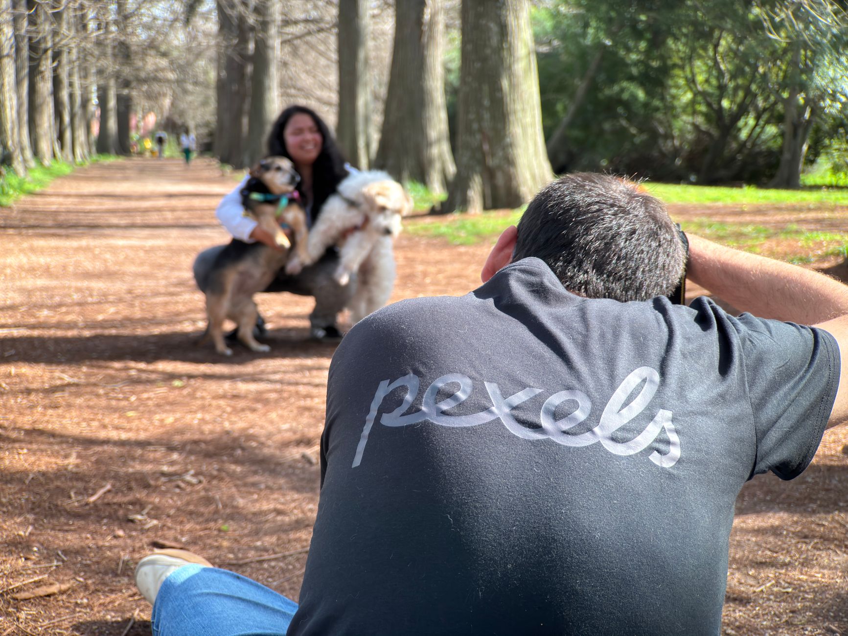 Proceso de selección: no todos los perros valen para el servicio