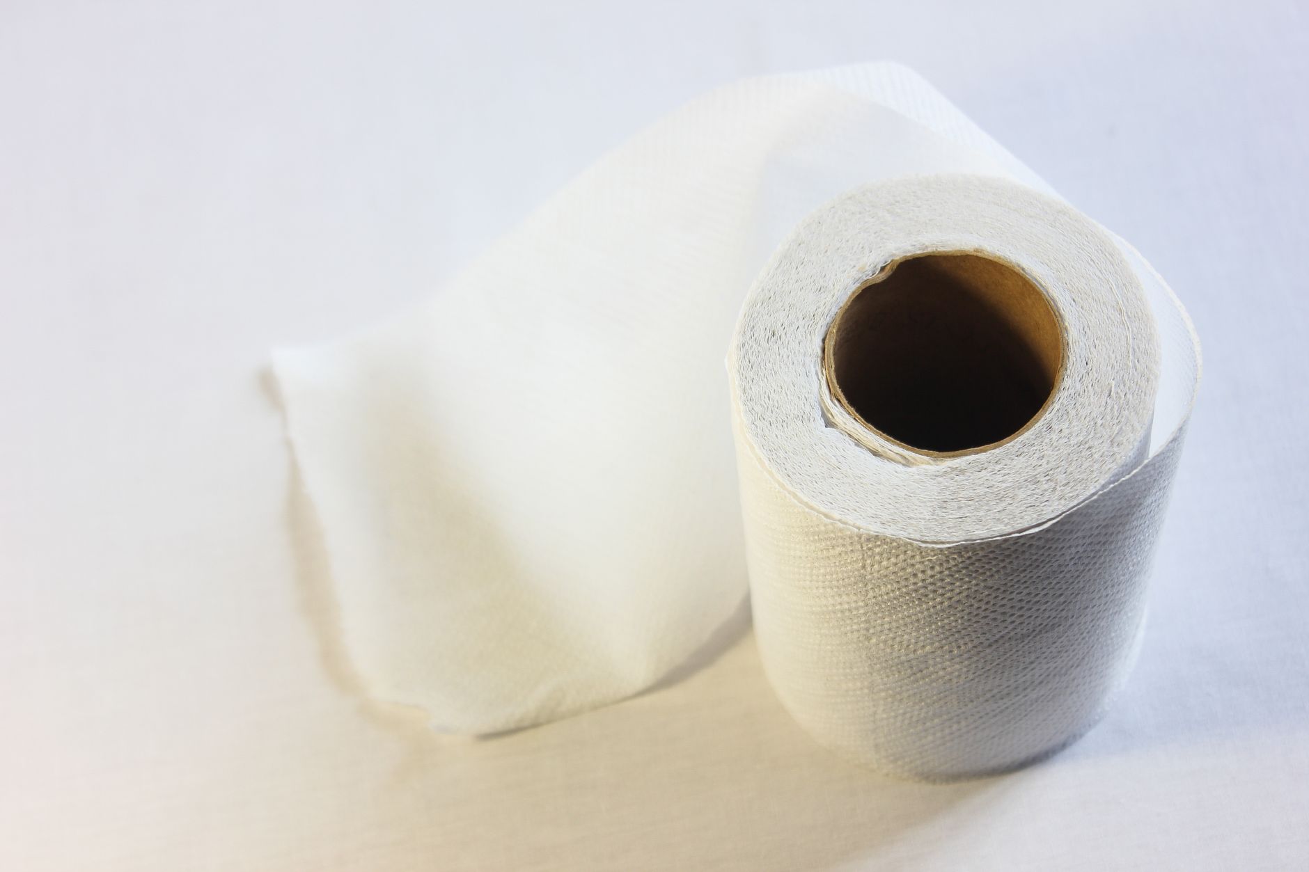 Qué es el papel absorbente para perros y por qué no es lo mismo que el papel de cocina
