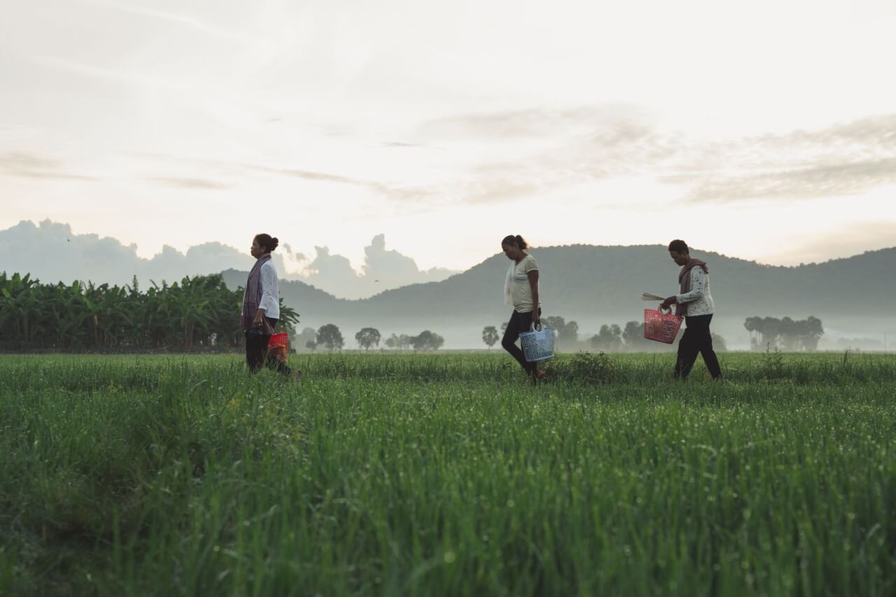 Qu'est-ce que l'agriculture conviviale ? Trois logiques à distinguer
