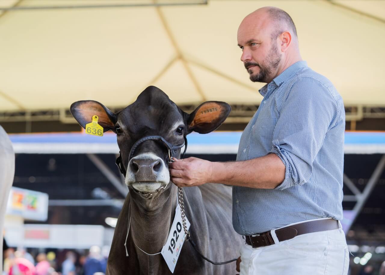 Les événements agricoles conviviaux : foires, salons et fêtes de terroir