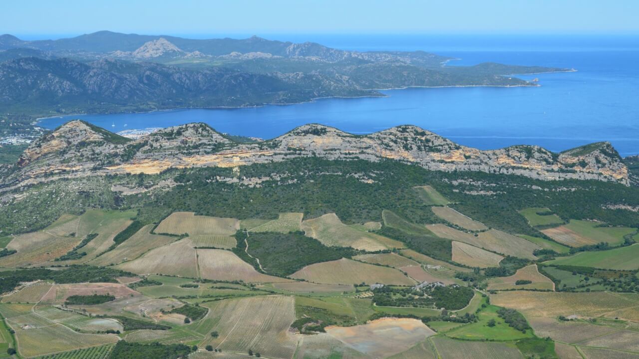 Vente directe, agritourisme et réseaux agricoles : la convivialité comme modèle économique
