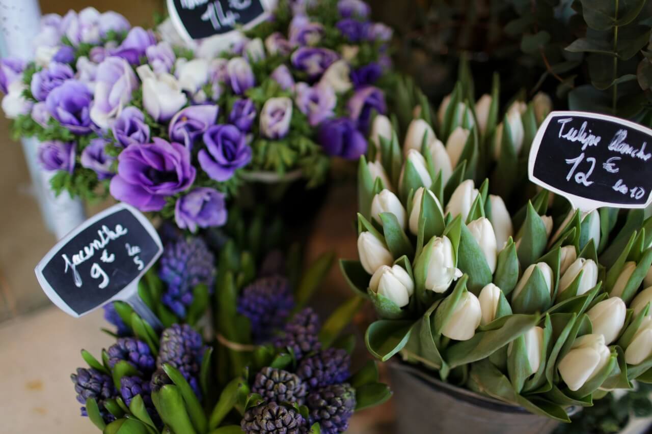 75 Fleurs en P : Guide Complet de Culture et de Sélection