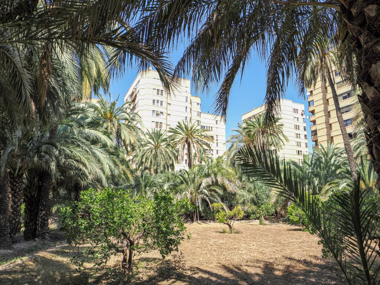 Réglementation du glyphosate en Espagne : cadre juridique actuel