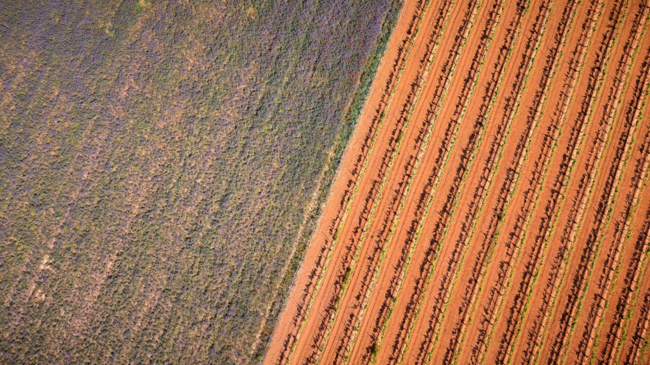 Usage agricole du glyphosate en Espagne par secteur de culture
