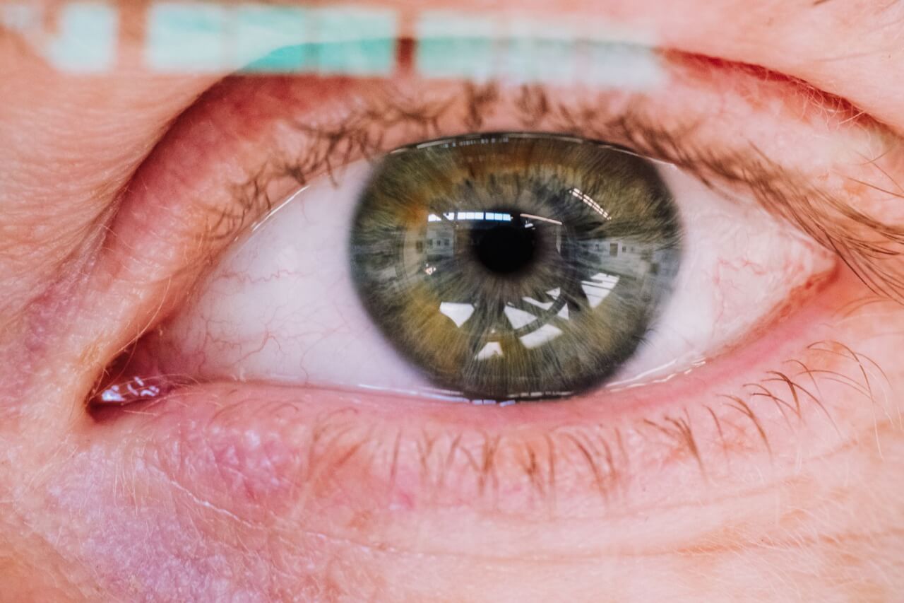 Comment lire les symptômes visuels sur ton citronnier