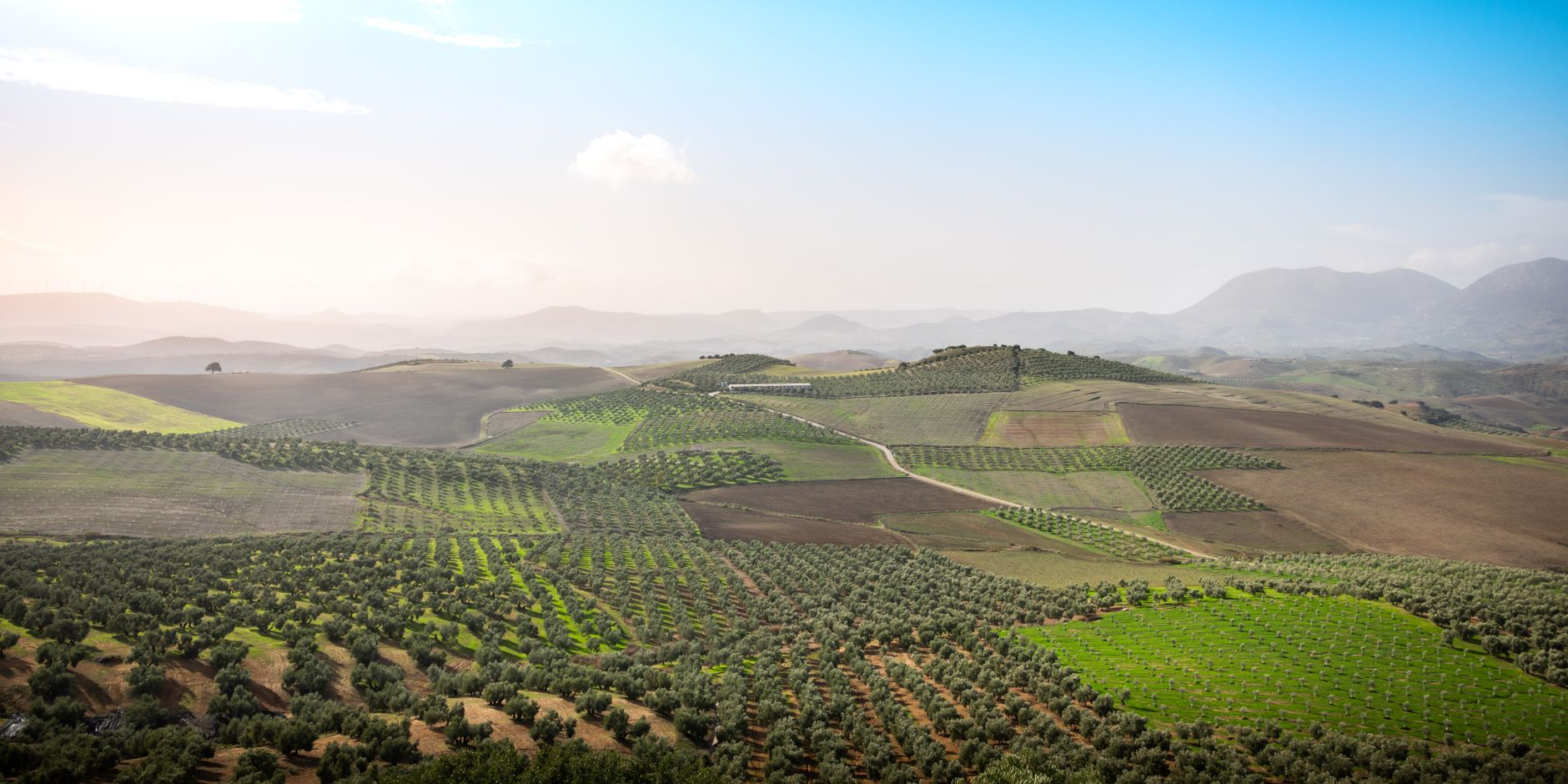 Roundup et agriculture espagnole : des chiffres qui expliquent la dépendance