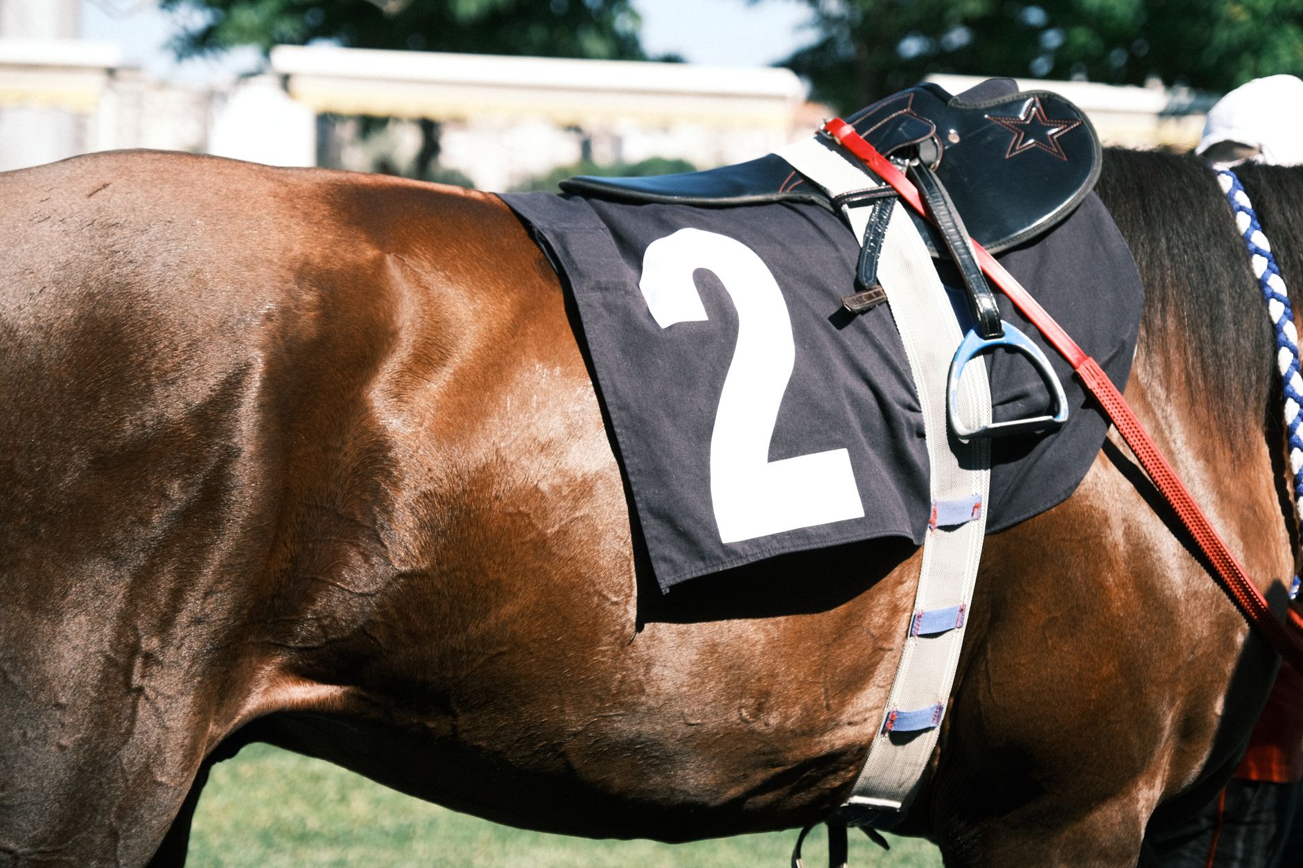Chevaux DIN, chevaux fiscaux et case P.2 de la carte grise : trois notions distinctes