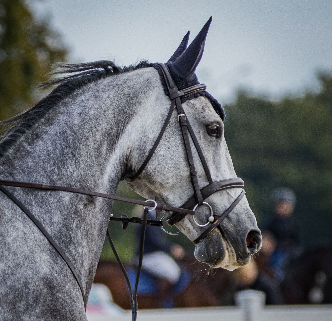 Conversion kW en chevaux : le guide complet pour comprendre la puissance auto