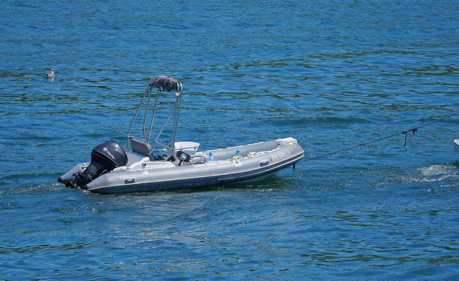 Delta Nautic : le guide complet des semi-rigides français