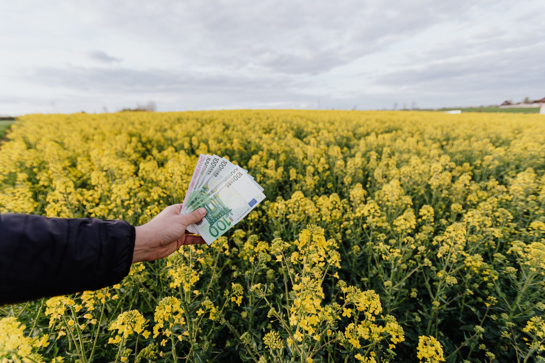 Le rôle du bonus écologique dans les offres à 59 euros
