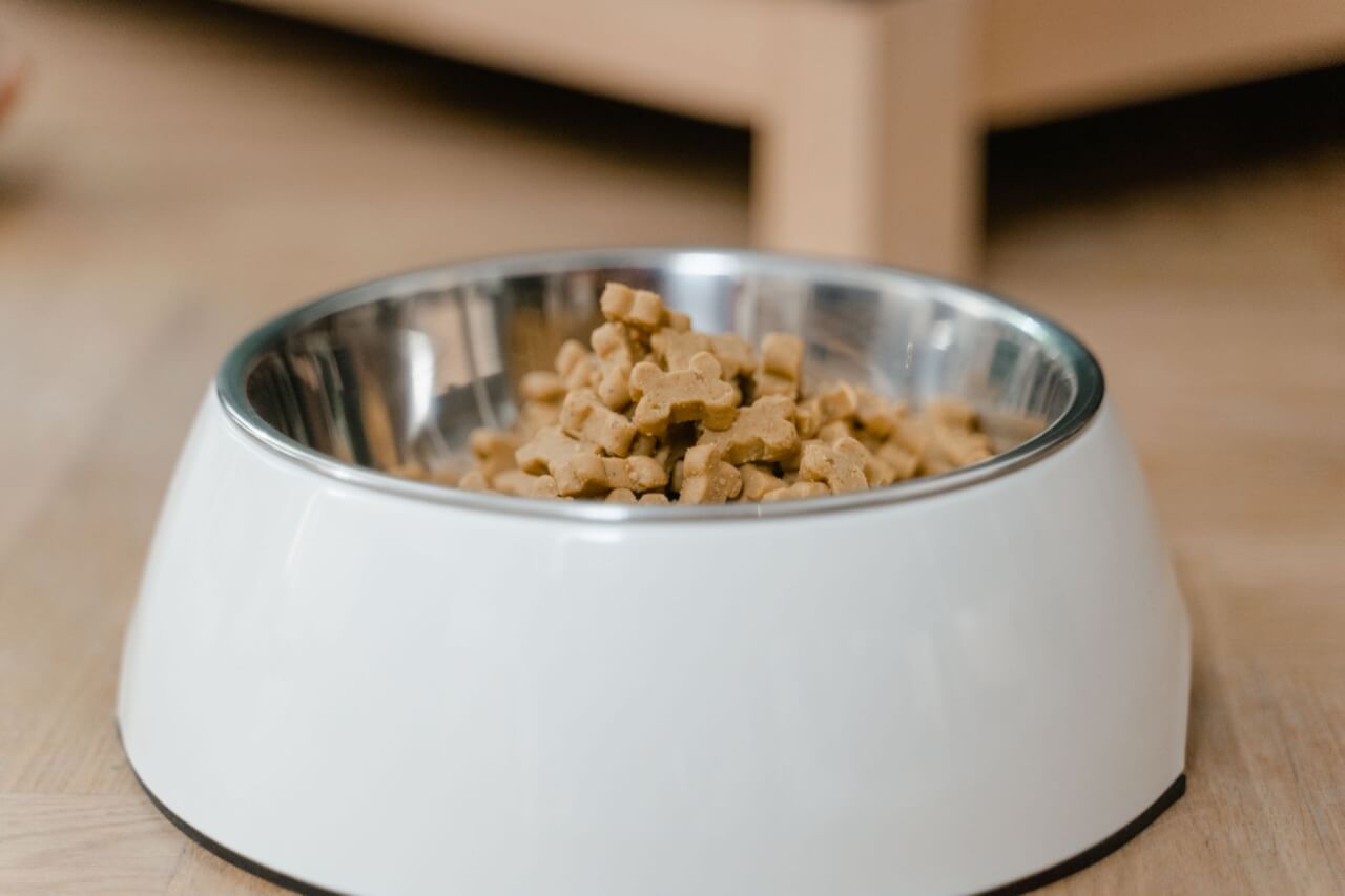 Qu'est-ce qu'une croquette hypoallergénique et comment agit-elle ?