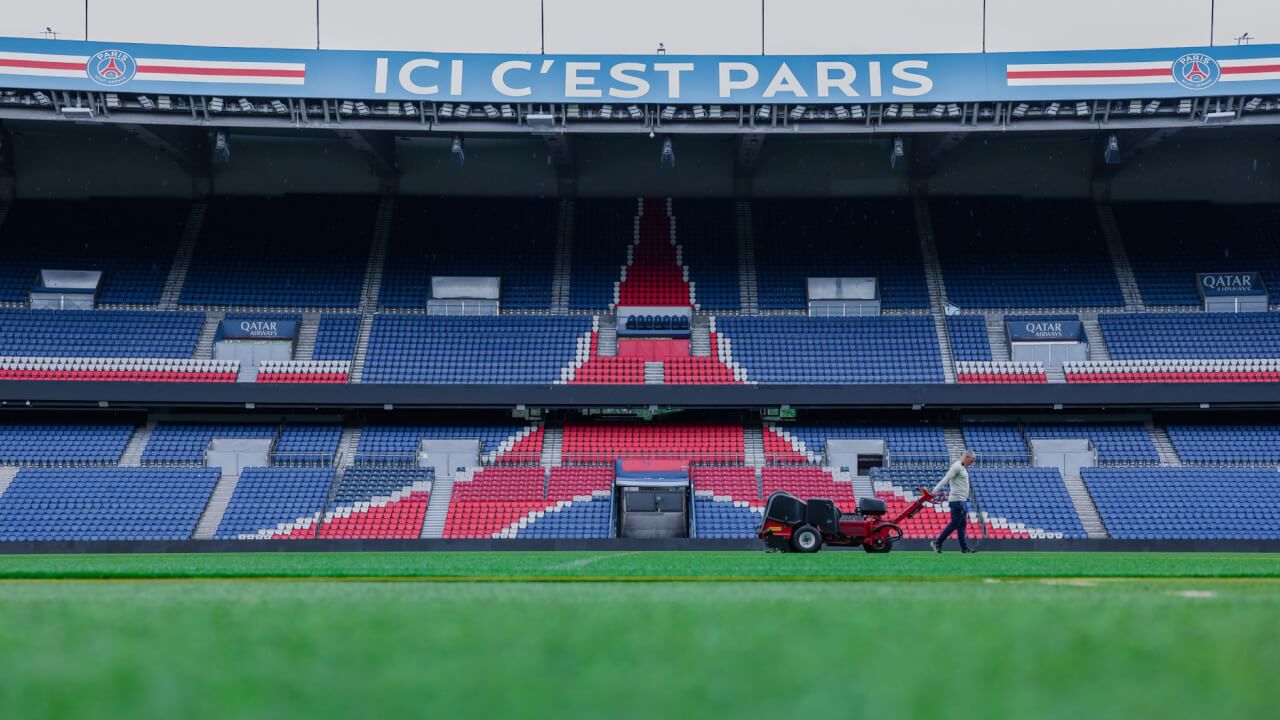 Le trait est-il reconnu par les clubs félins et pose-t-il des problèmes de santé ?