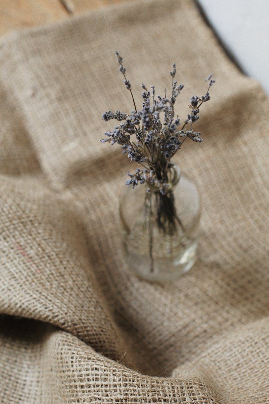 Secrets Dévoilés : Rendre Votre Toile de Jute Indestructible !