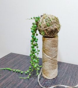 Corde de Jute : Utilisations, Épaisseurs & Conseils d'Achat [2026]