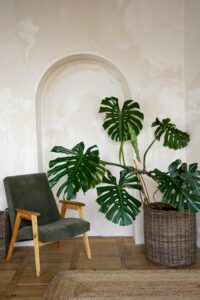 déco ecologique