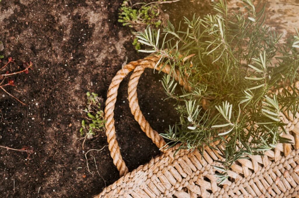 Déco Jardin en Toile de Jute : 8 Idées pour Terrasse & Extérieur