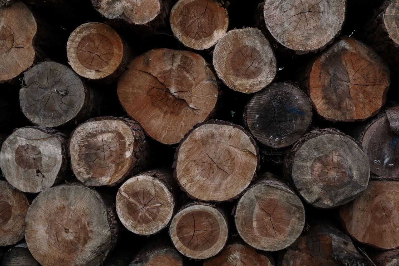 Choisir son essence de bois : chêne, mélèze, bois exotique selon le style recherché