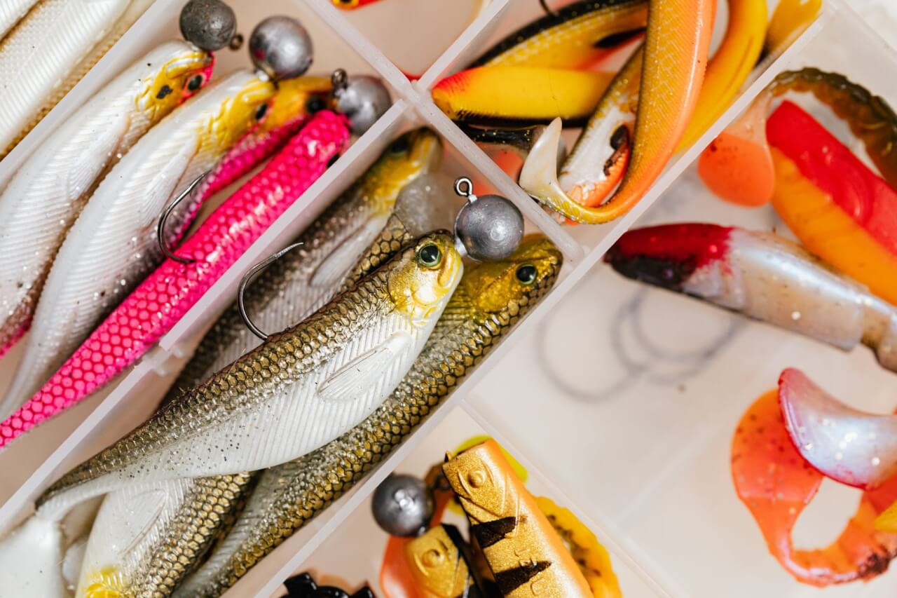 Les appâts alimentaires les plus efficaces pour attirer les mouches