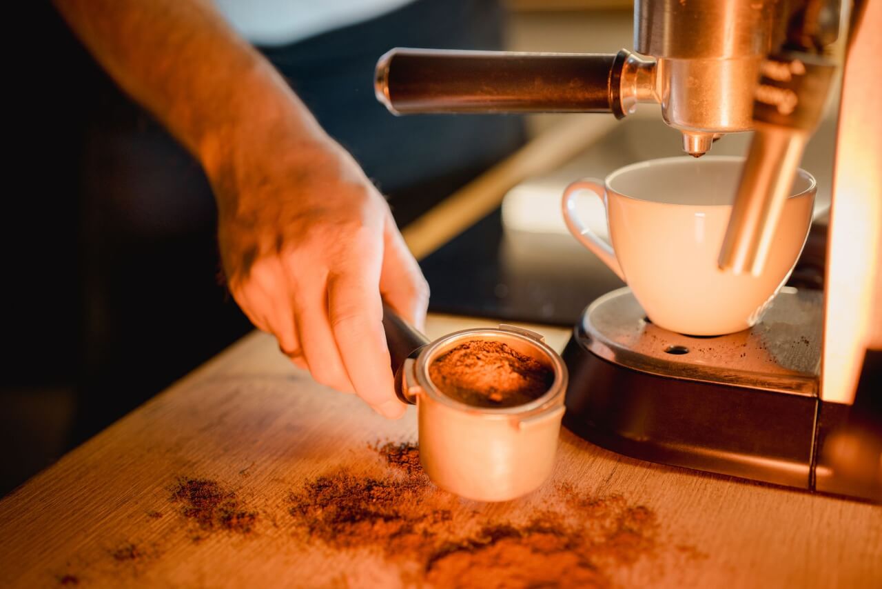 Marc de café et mouches : mythe ou vraie astuce anti-nuisibles ?
