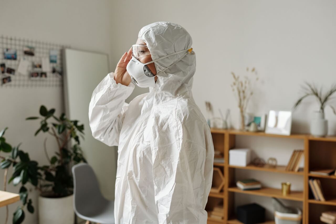Les risques sanitaires liés à un nid de pigeon