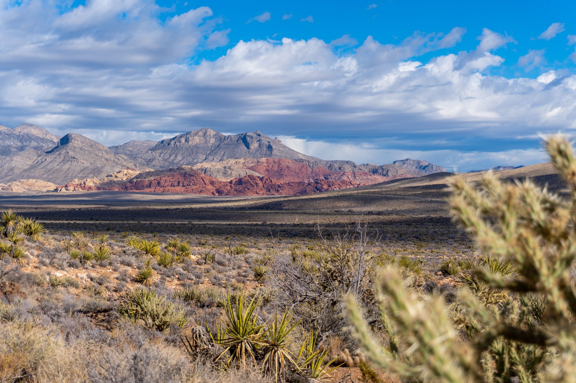 Distance Las Vegas Grand Canyon : Guide complet des 3 rims