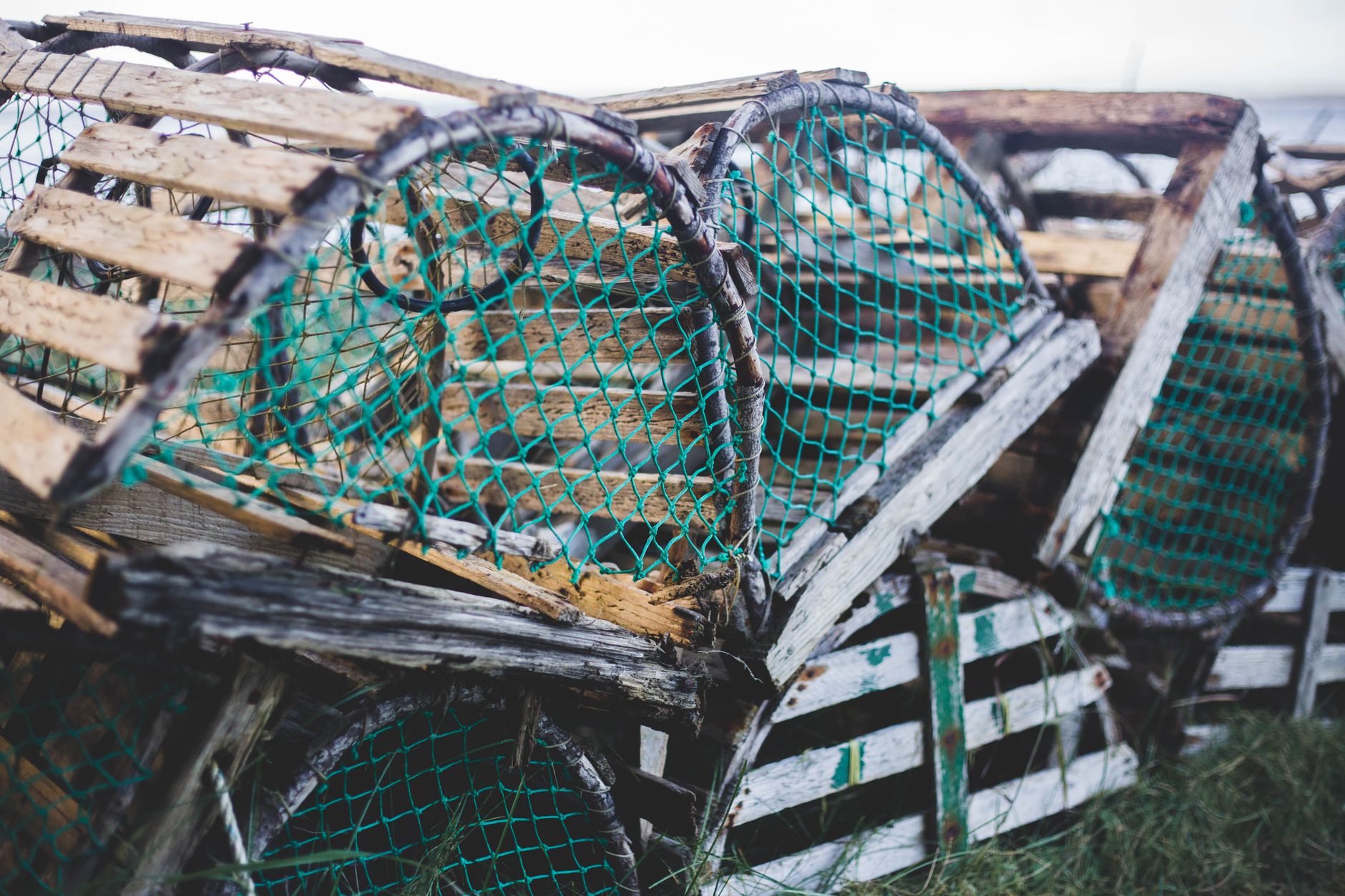 Économie du Maine : homard, bois et tourisme